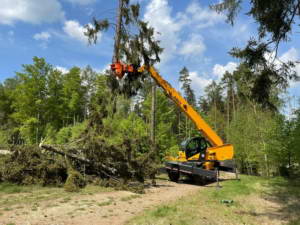 Telehandler for forest maintenance
